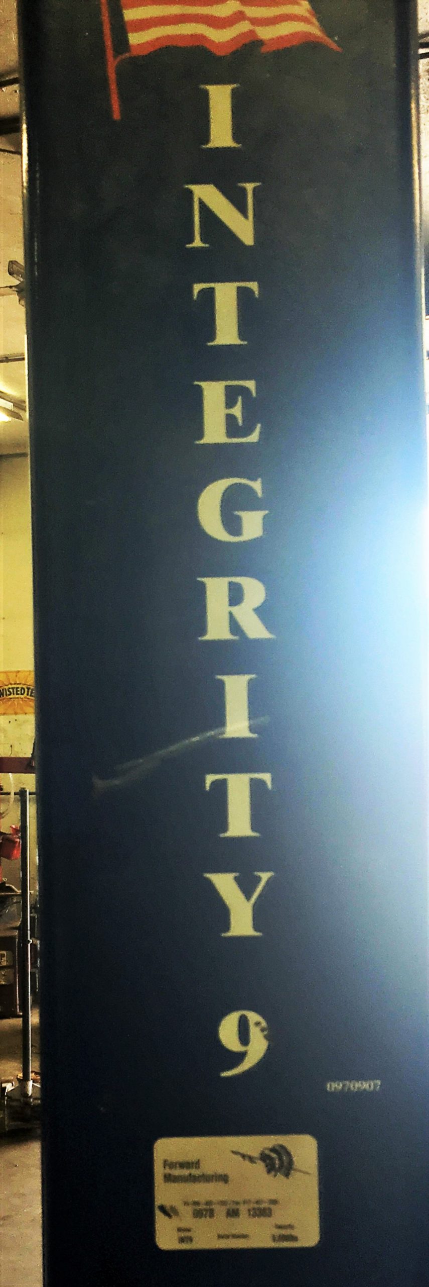 INT9 INTEGRITY 9 by FORWARD, 2-Post; Equalizer Cables (2) - Image 2